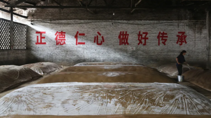 【时之味】揭秘佳记酒的浓香密码——窖池
