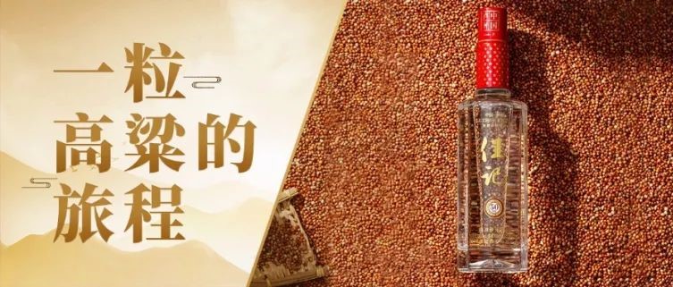 从一粒高粱到一滴佳酿，要走多远的距离？？