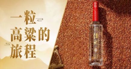 从一粒高粱到一滴佳酿，要走多远的距离？