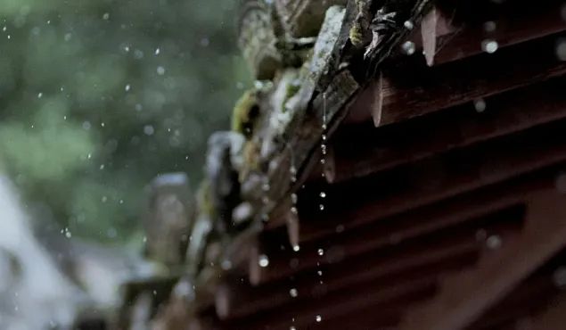 春景为酿：：古今对话的诗意篇章
