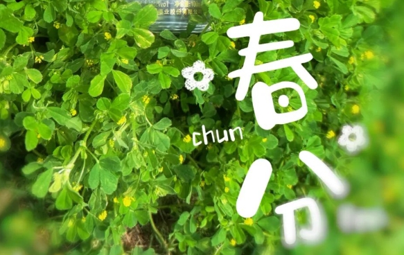 彩名堂官网24骨气·春分 I 万绿丛中一点红