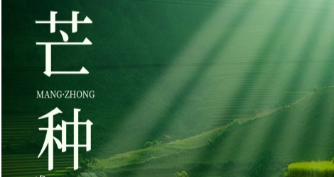 佳乐24节气·芒种】盛夏种收皆奔忙 青梅煮酒话时光