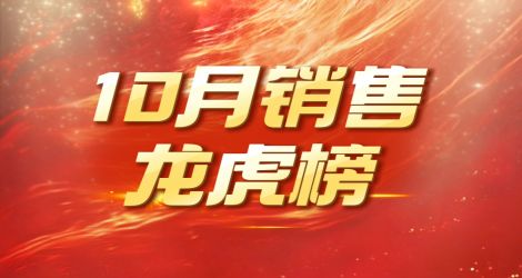 佳乐酒业10月销售龙虎榜