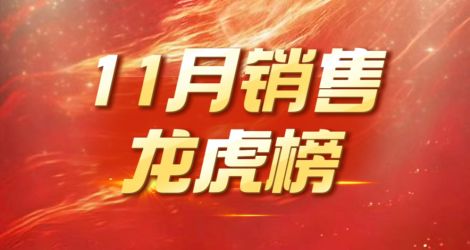 11月销售龙虎榜