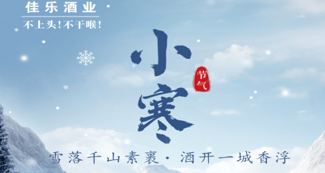 【小雪】雪落千山素裹，酒开一城香浮