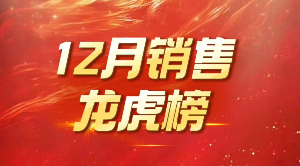 12月销售龙虎榜