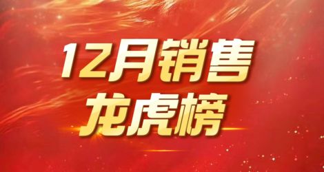 12月销售龙虎榜