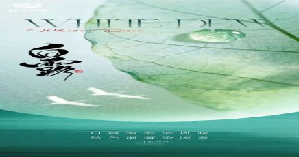 白露｜清露凝光添酒韵 秋凉入盏敬安年