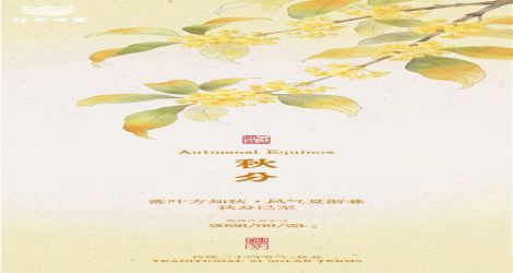 秋分｜风染桂香盈雅盏 月携清味祝长安